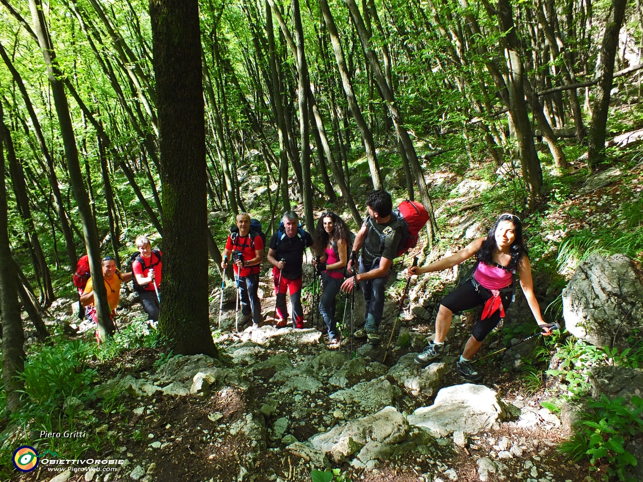 05 Sentiero 'lastricato' nel bosco...JPG